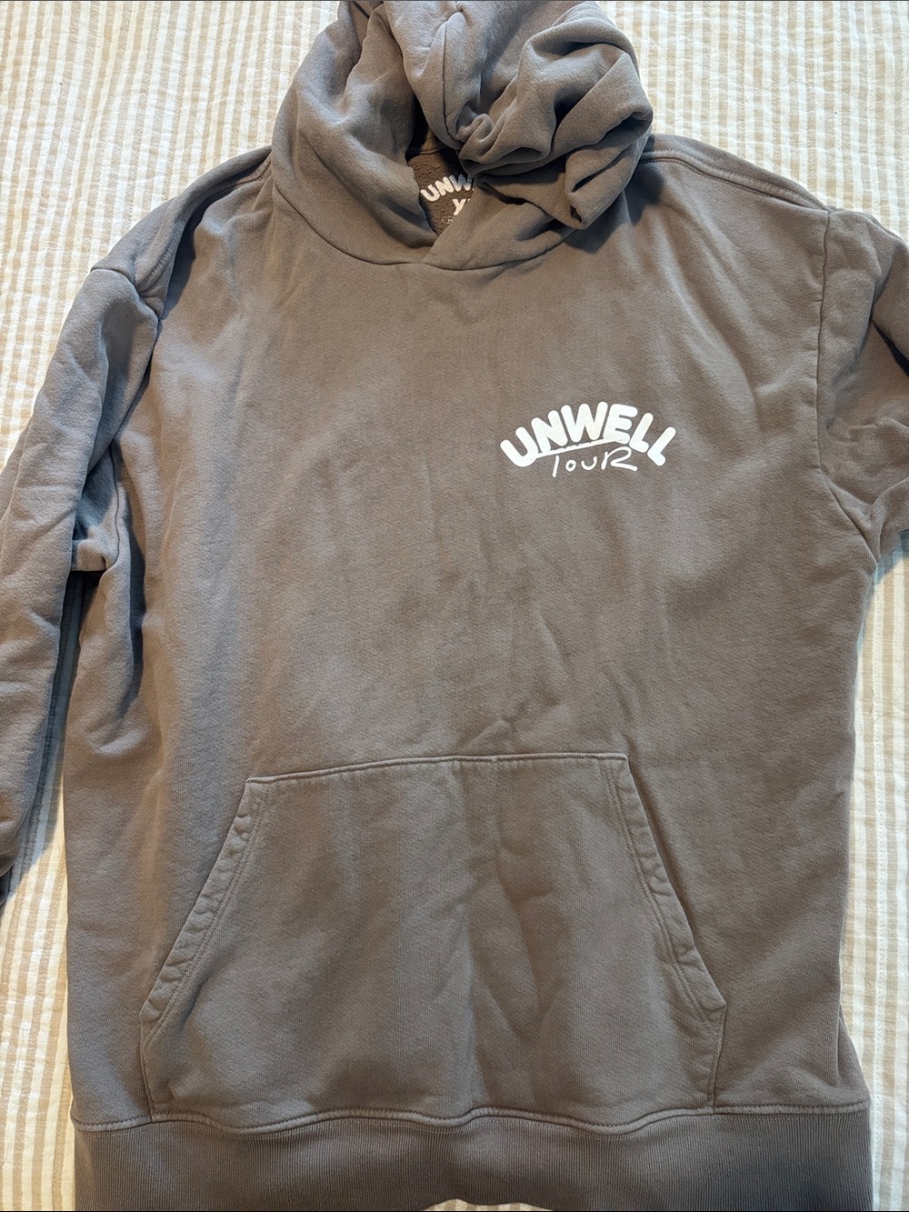 Unwell Tour Grey Logo Hoodie